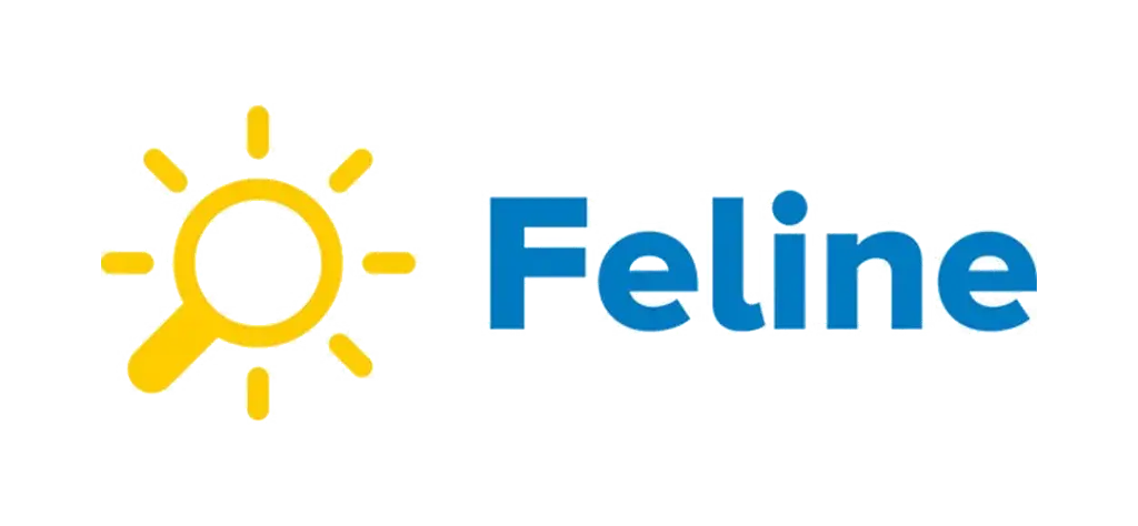 Feline Holidays